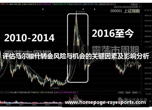 评估马尔穆什转会风险与机会的关键因素及影响分析 评估马尔穆什转会风险与机会的关键因素及影响分析