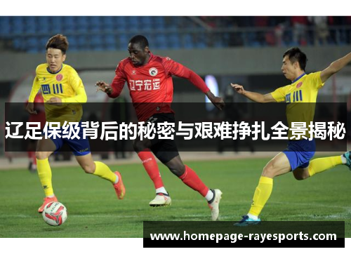 辽足保级背后的秘密与艰难挣扎全景揭秘 辽足保级背后的秘密与艰难挣扎全景揭秘
