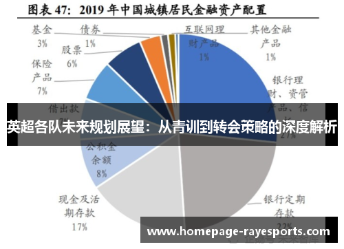 英超各队未来规划展望：从青训到转会策略的深度解析
