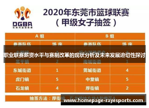职业联赛薪资水平与赛制改革的现状分析及未来发展迫切性探讨