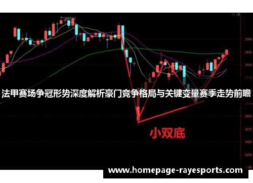 法甲赛场争冠形势深度解析豪门竞争格局与关键变量赛季走势前瞻